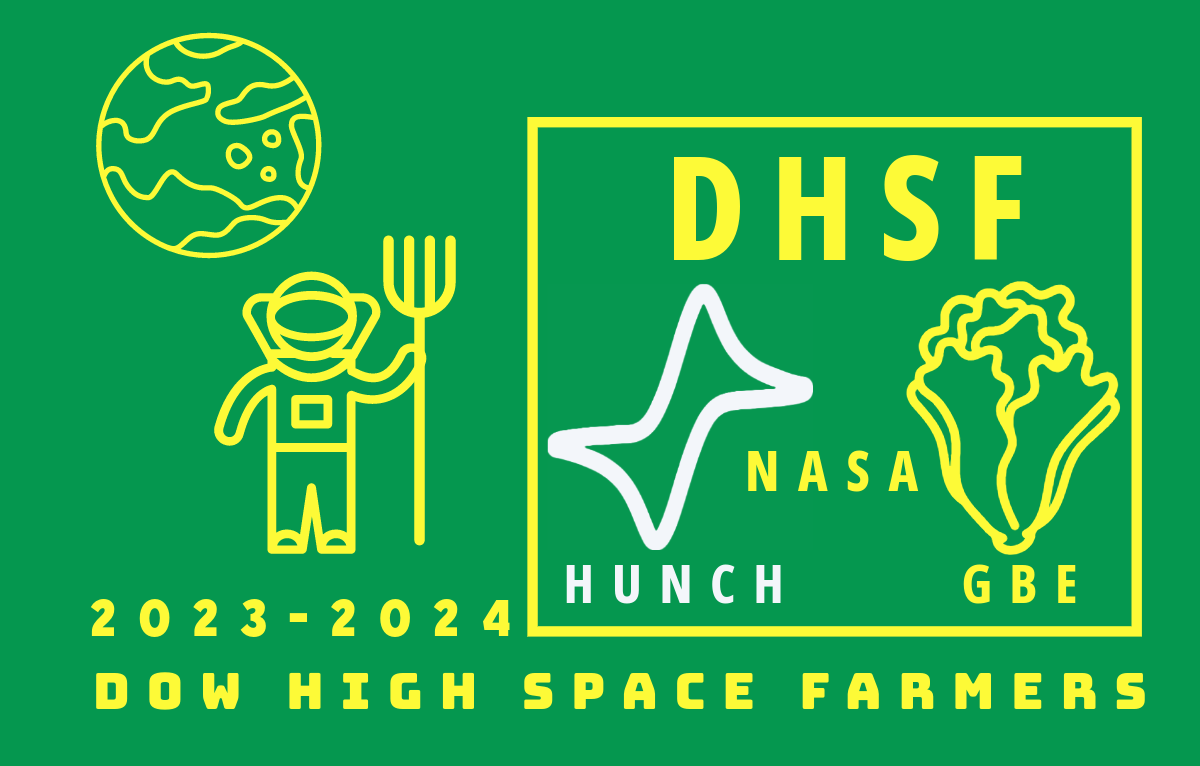 DHSF logo